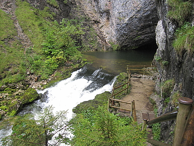 zeigt den Pießling Ursprung