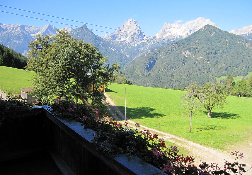 Ausblick vom Balkon bei Zimmer Schwertlilie